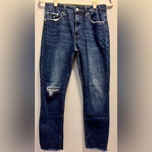 PISTOLA Cara High Rise Vintage Skinny in Essex‎ 27